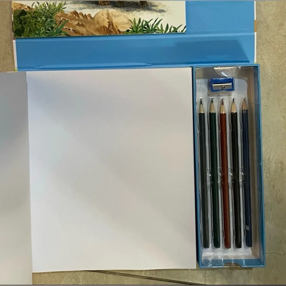 Draw Dinosaurs Stencil & Color Kit & Safari Ltd® TOOBS® Dinos